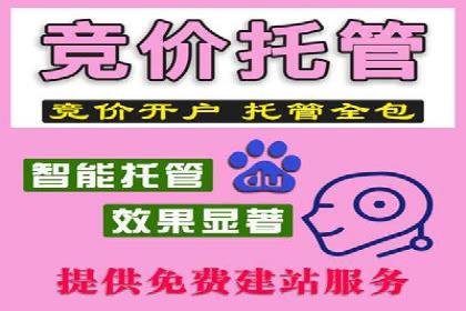 SEM托管公司案例分享：提升广告投放效果的关键步骤